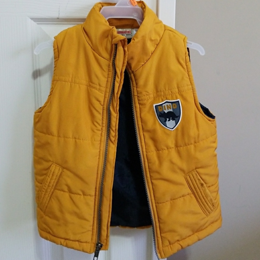 Vest